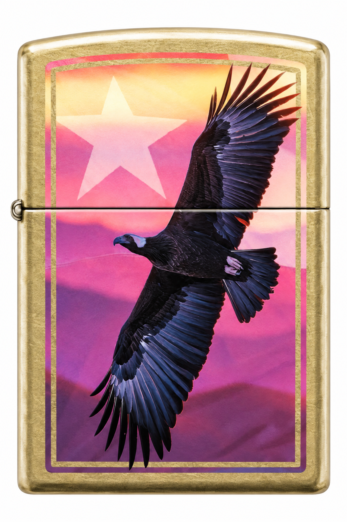 Andean Condor Design