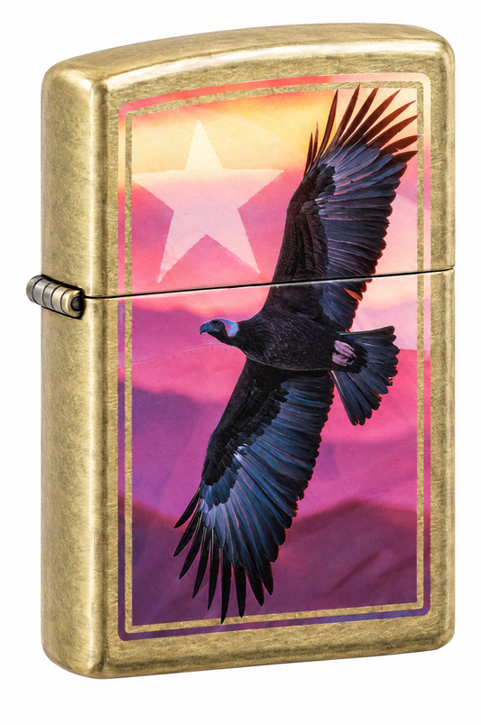 Andean Condor Design