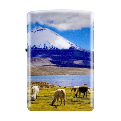 Alpaca design