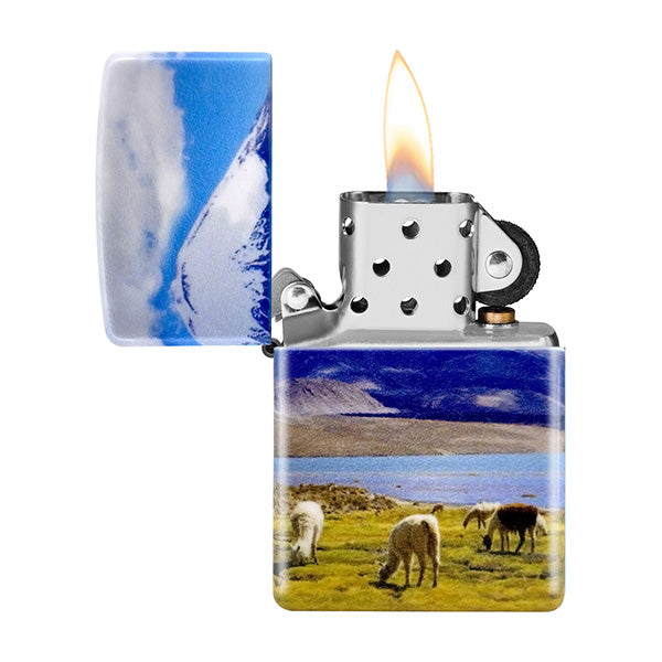 Alpaca design