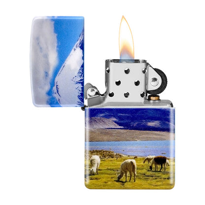 Alpaca design